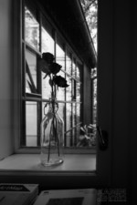 Josef Sudek výstava fotografií