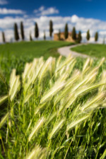 Fotoexpedice Toskánsko krajinářská fotografie Martin Kamín