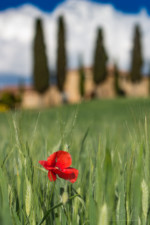 Fotoexpedice Toskánsko krajinářská fotografie Martin Kamín