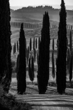 Fotoexpedice TOskánsko