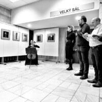 Galerie města Trutnov, výstava V křivkách, 2023, autor fotografií Patrick Marek