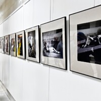 Galerie města Trutnov, výstava V křivkách, 2023, autor fotografií Patrick Marek