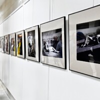 Galerie města Trutnov, výstava V křivkách, 2023, autor fotografií Patrick Marek