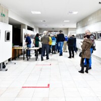Galerie města Trutnov, výstava V křivkách, 2023, autor fotografií Patrick Marek