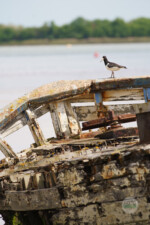 Fotoexpedice Skotsko Lektor Martin Kamín